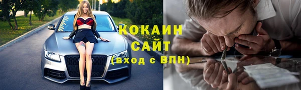 СК Алексин