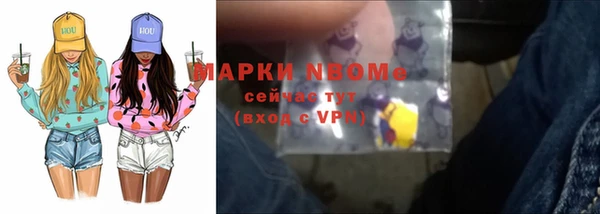 СК Алексин
