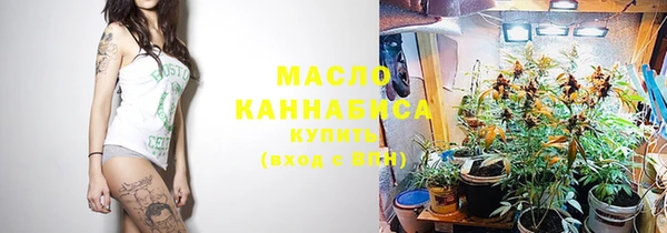 СК Алексин
